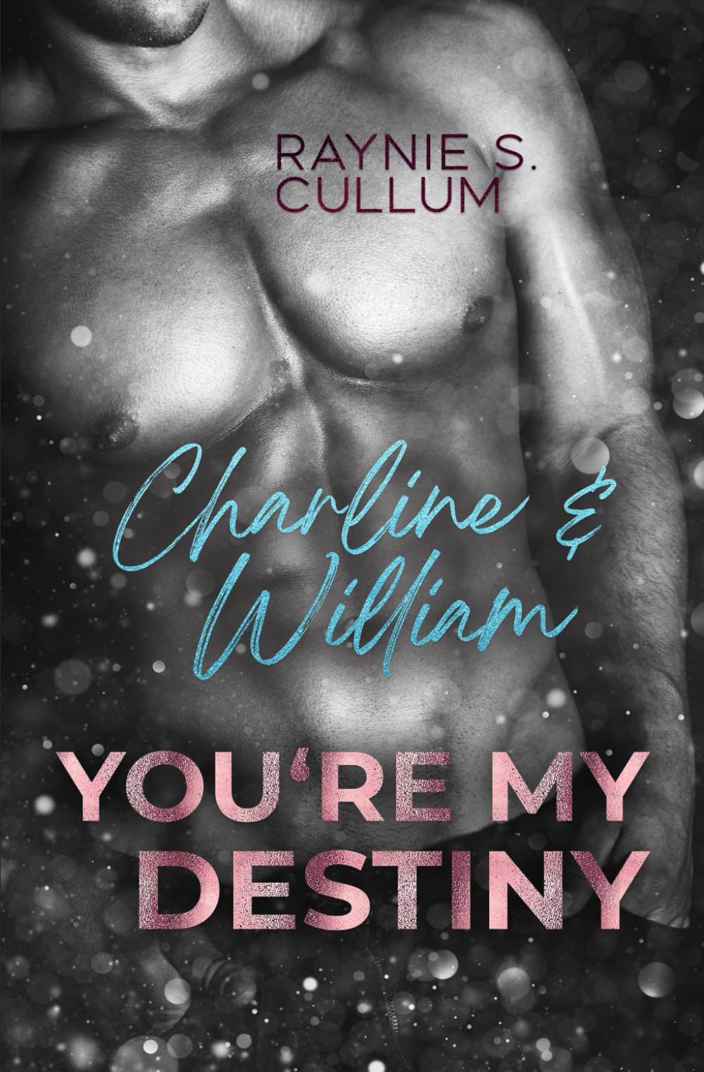 Charline & William: YOU´RE MY DESTINY Contemporary literature
