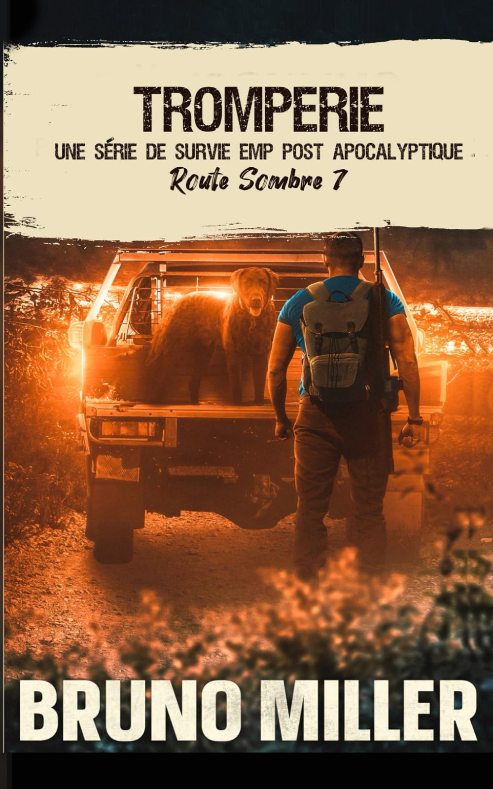 Tromperie: Une série de survie EMP post-apocalyptique book