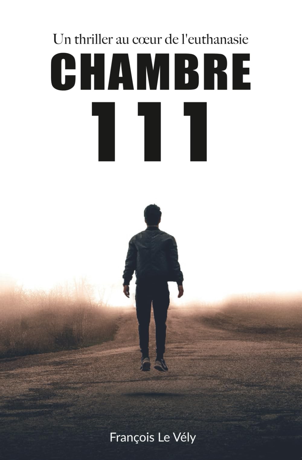 CHAMBRE 111: Un thriller au cœur de l'euthanasie book
