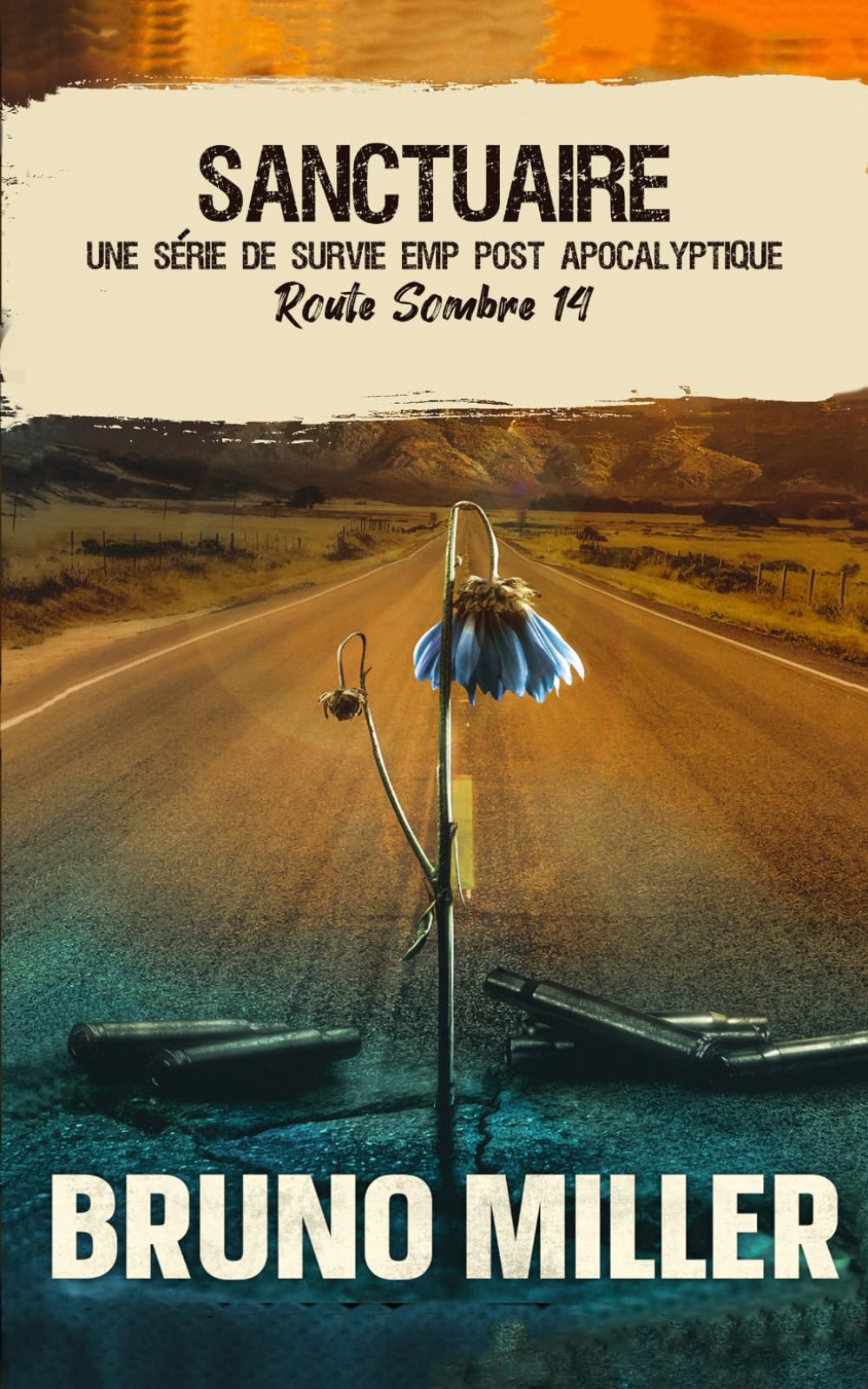 Sanctuaire: Une série de survie EMP post-apocalyptique book