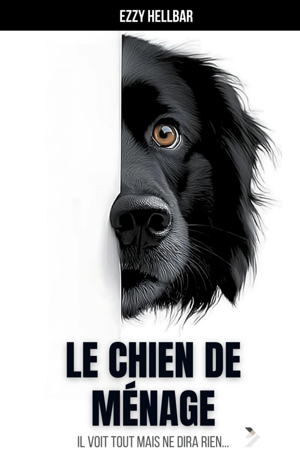 Le chien de ménage: Il voit tout mais ne dira rien book