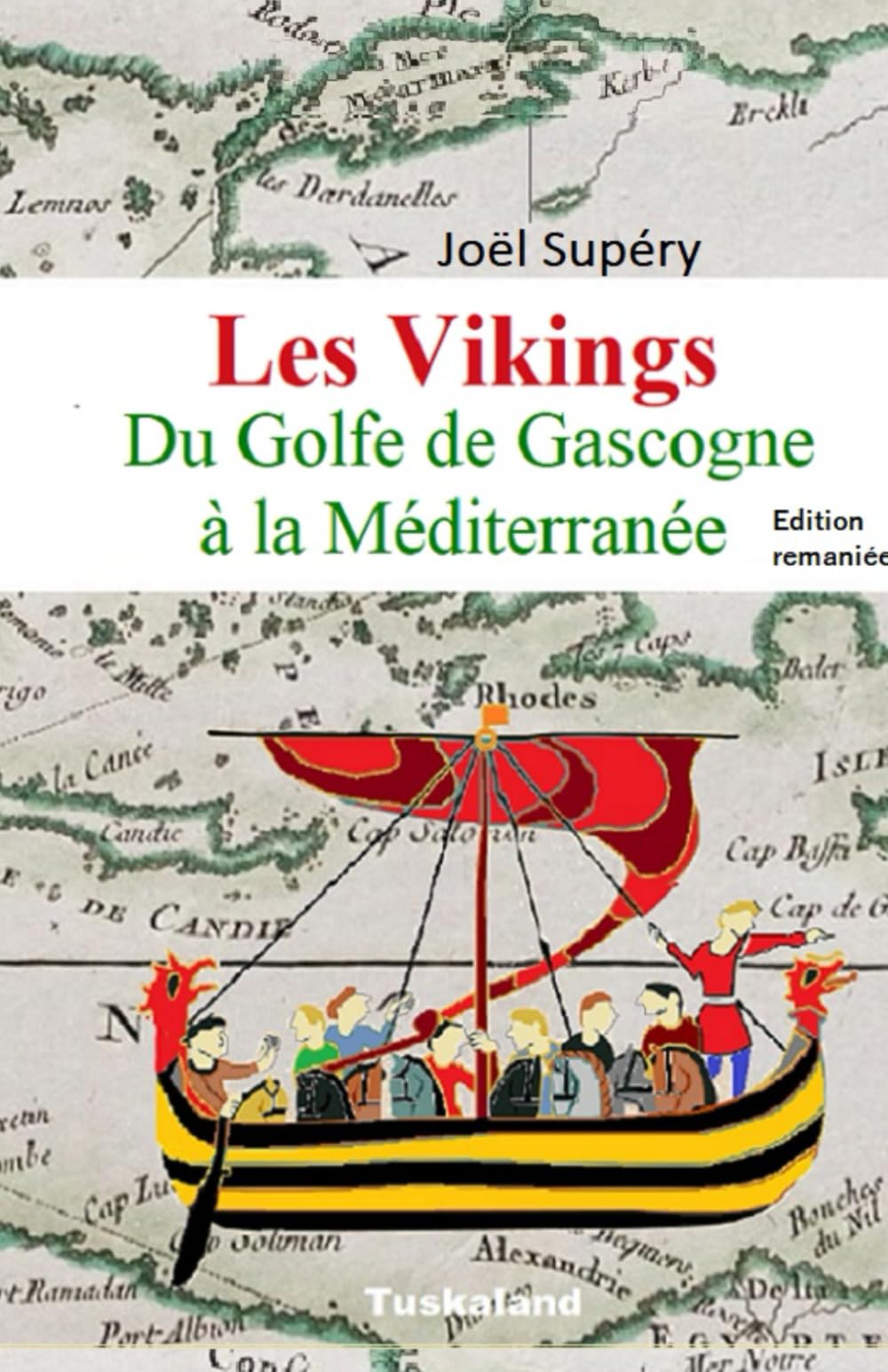 Les Vikings, du Golfe de Gascogne à la Méditerranée: Ambition et Révolution Politics & History
