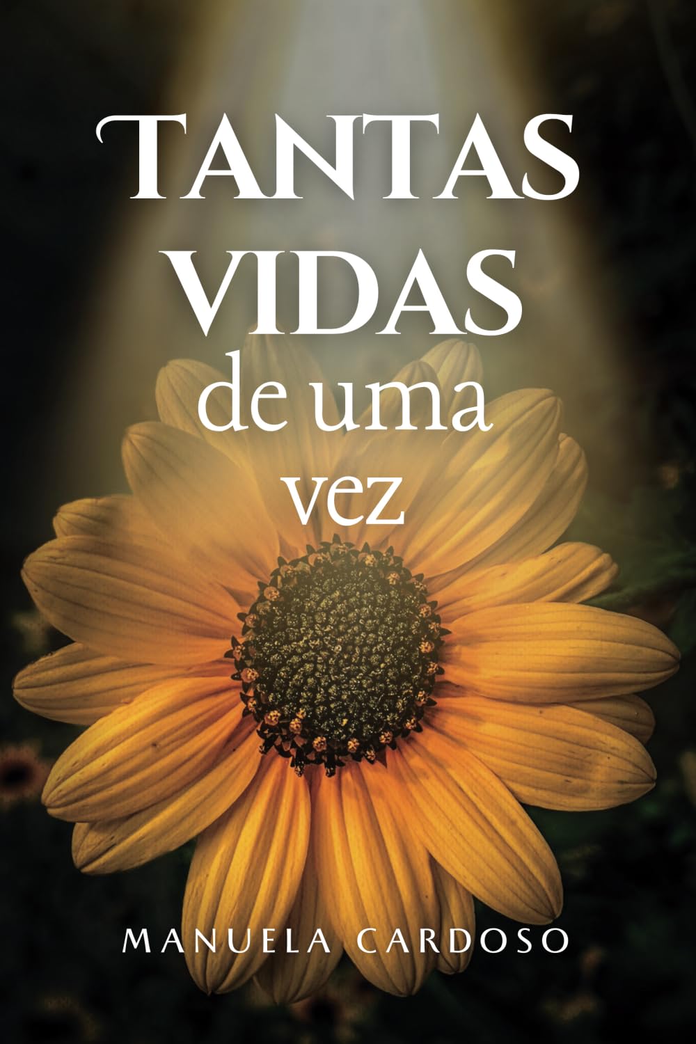 Tantas Vidas de Uma Vez Contemporary literature