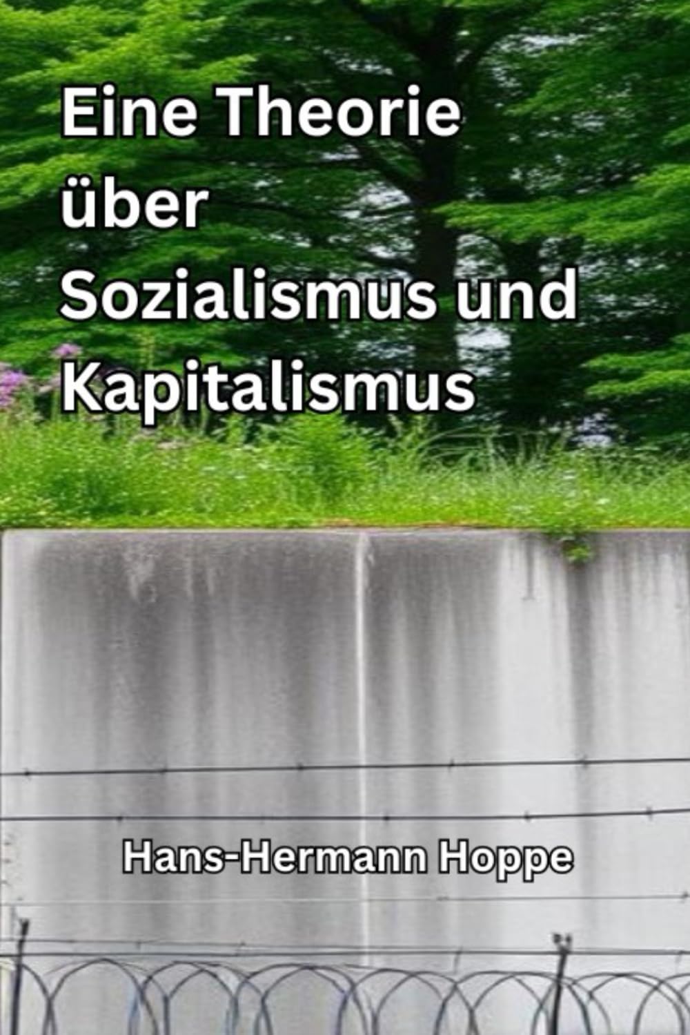 Eine Theorie über Sozialismus und Kapitalismus Philosophy