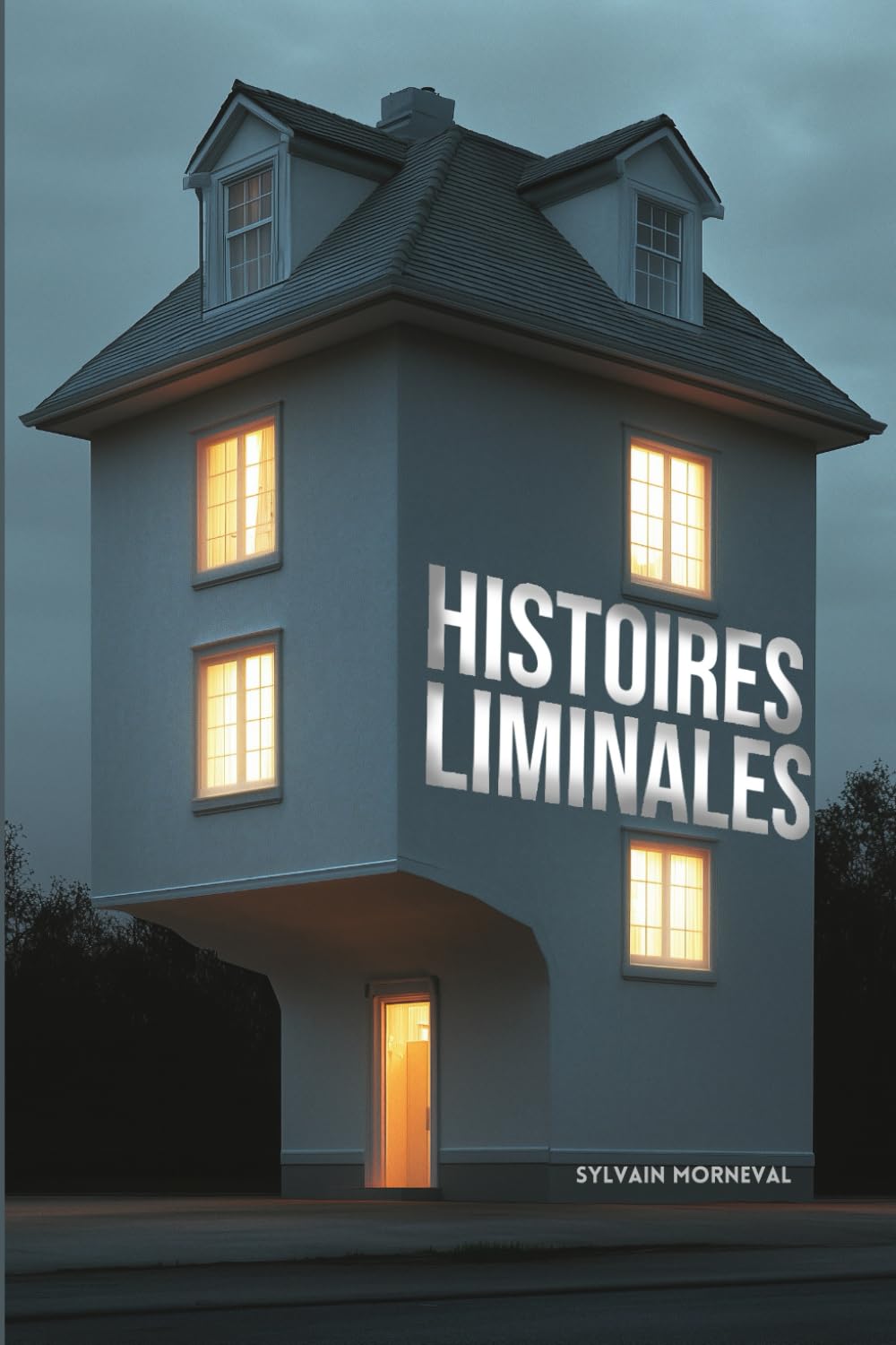 Histoires liminales: Voyage entre les mondes book