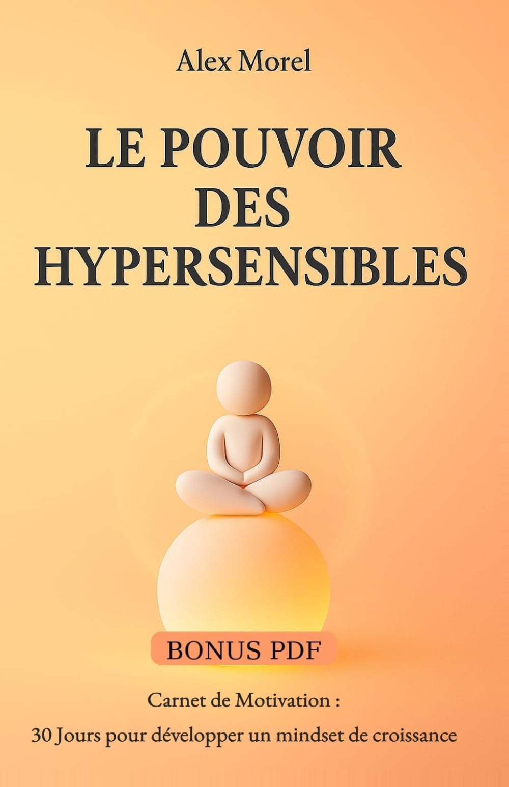 Le Pouvoir des Hypersensibles : Réussir en restant soi-même book