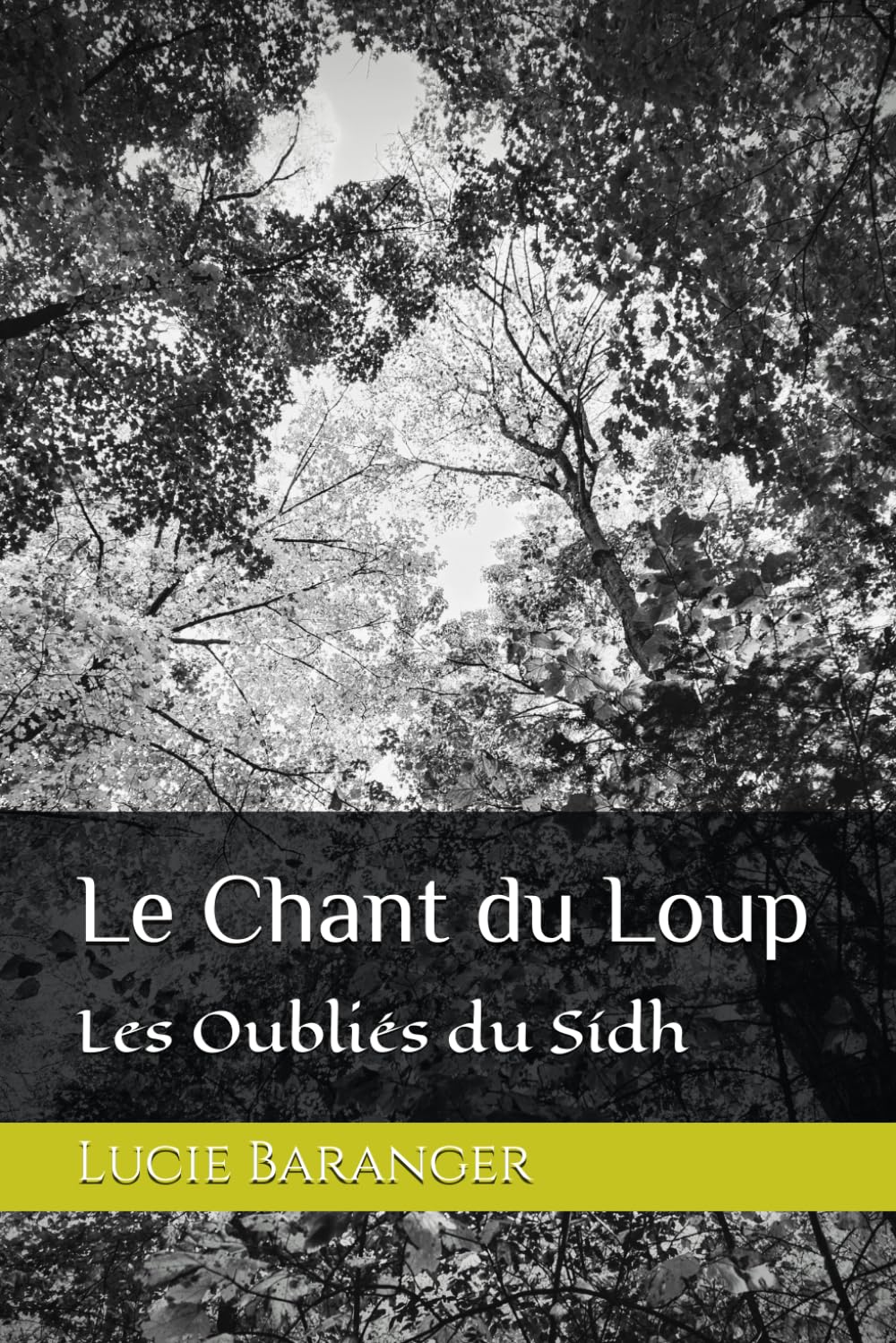 Le Chant du Loup: Les Oubliés du Sídh book