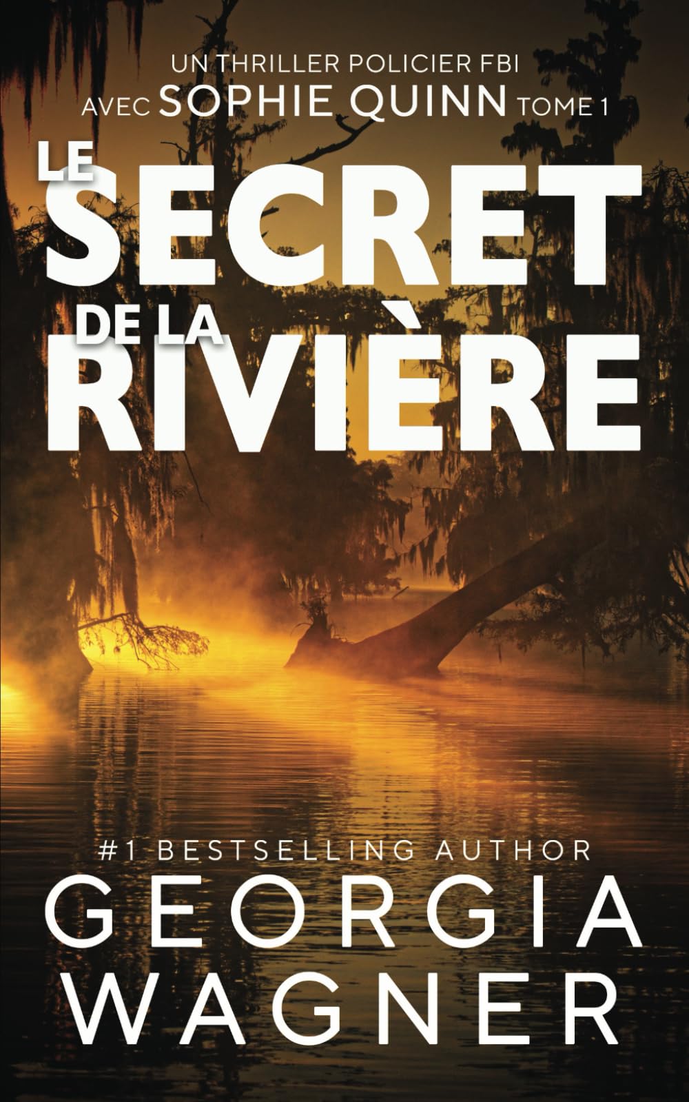 Le Secret de la Rivière: Un thriller policier FBI avec Sophie Quinn Tome 1 book