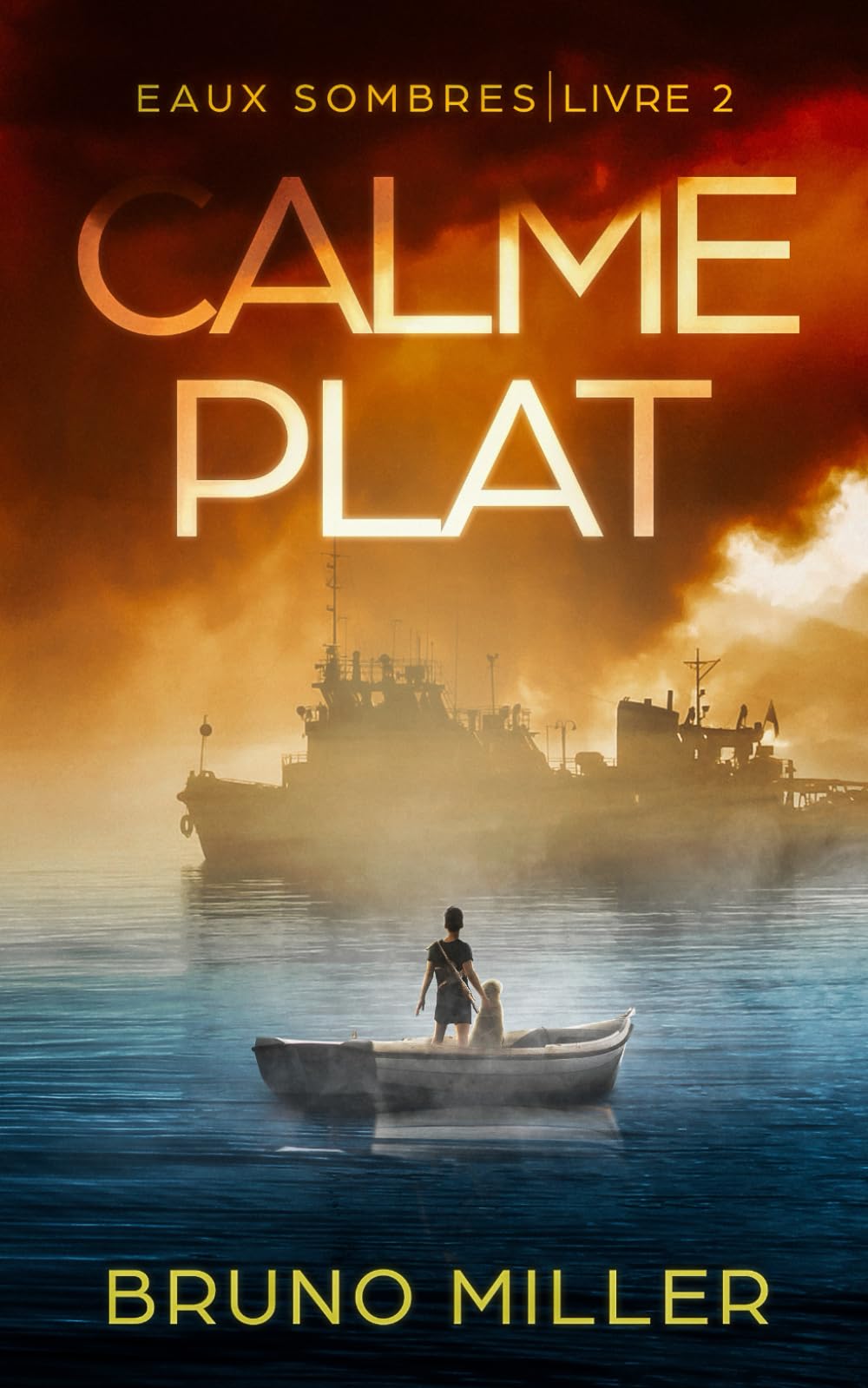 Calme Plat: Une série de survie EMP post-apocalyptique book