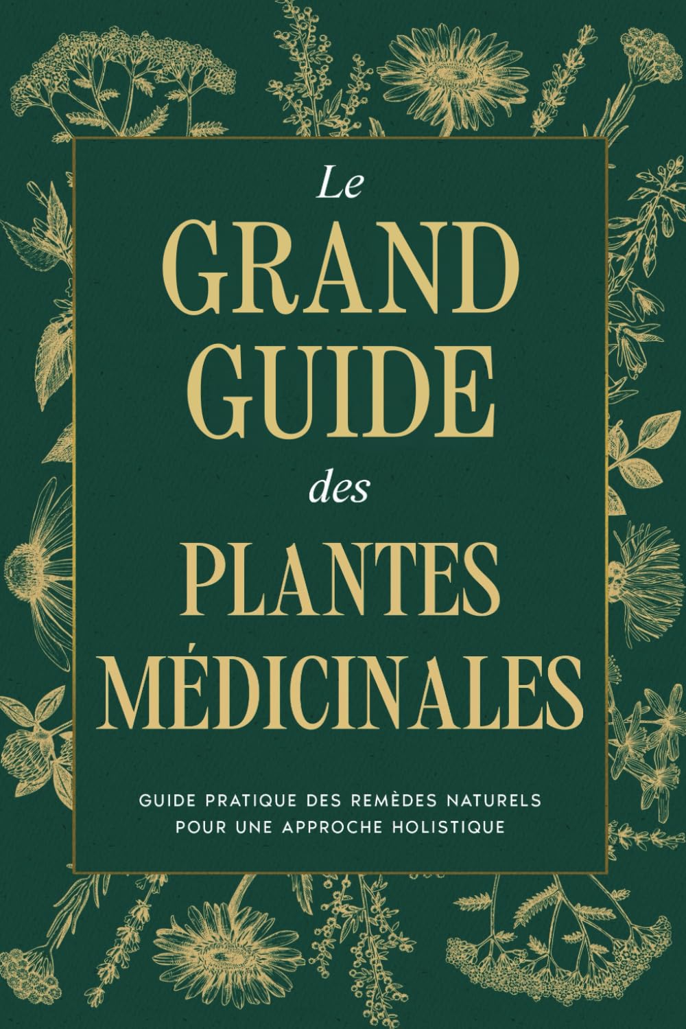 Le Grand Guide des Plantes Médicinales: Comprendre, Cultiver et Utiliser les Plantes Médicinales au Quotidien book