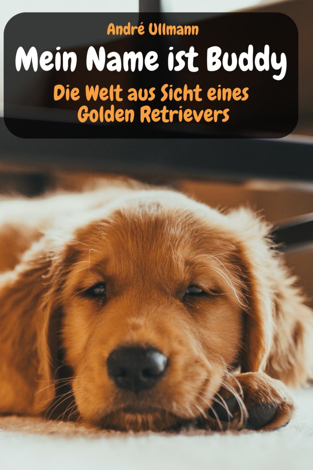 Mein Name ist Buddy - Die Welt aus Sicht eines Golden Retrievers (Tiergeschichten) Essays & Short Stories
