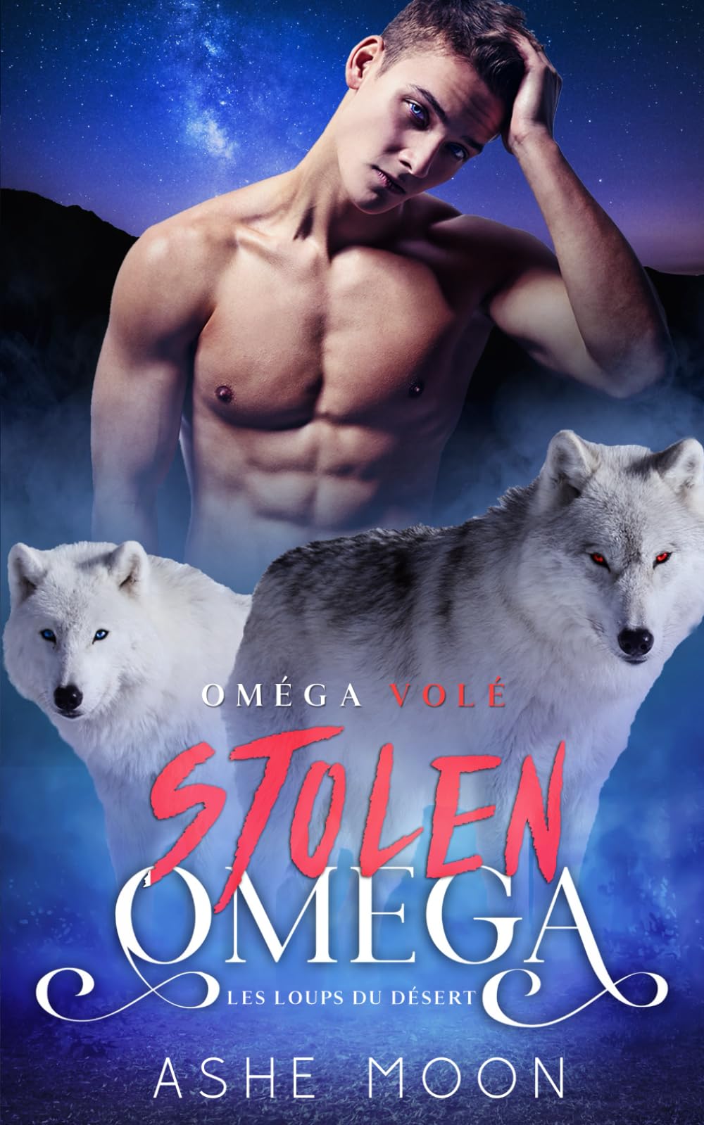 Stolen Omega - Les Loups du Désert: Une Aventure Romantique Gay Mpreg book