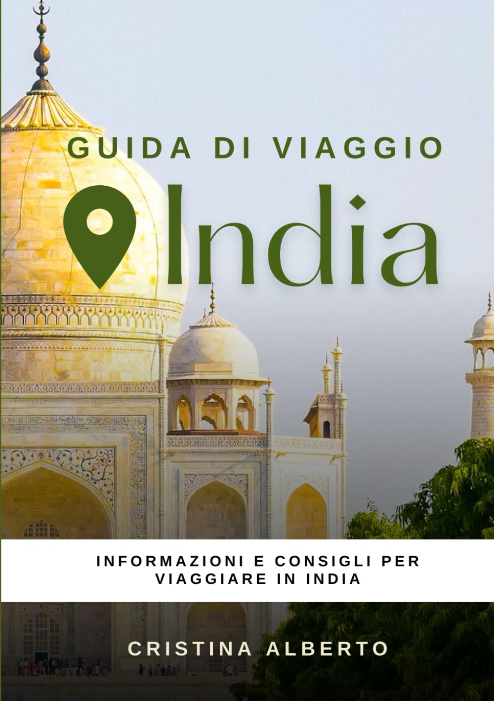 Viaggiare in India: guida informativa per conoscere il paese e consigli utili per il viaggio book
