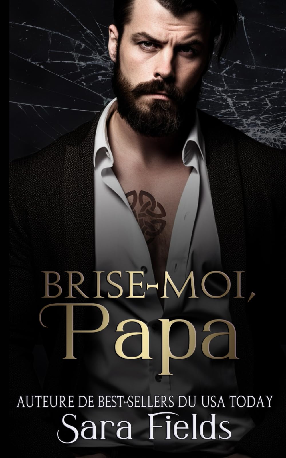 Brise-Moi, Papa: Une Romance Irlandaise Sombre et Mafieuse book
