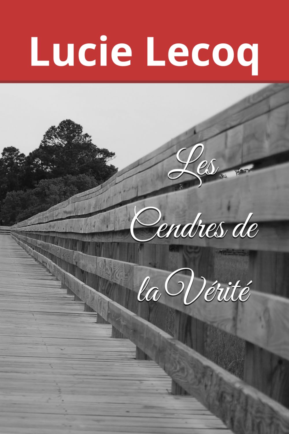 Les Cendres de la Vérité book