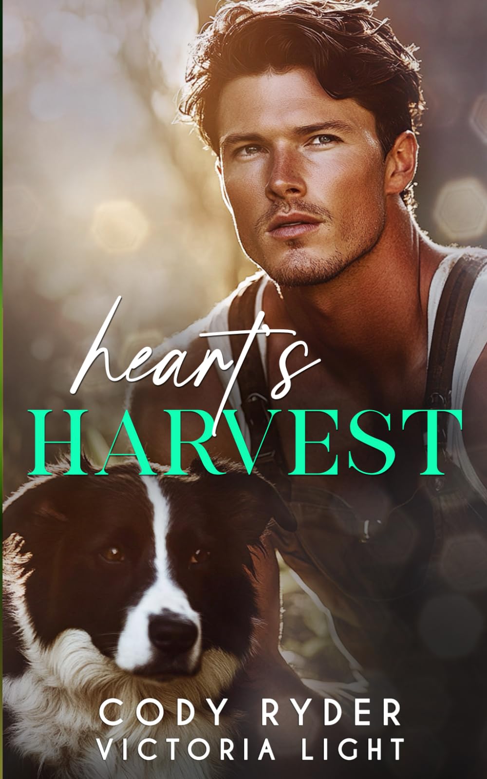 Heart's Harvest: Ein Zweite-Chance Gay Liebesroman New Adult
