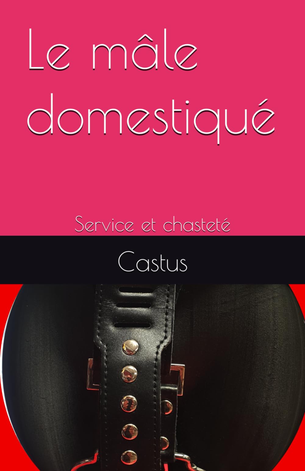 Le mâle domestiqué: Service et chasteté book