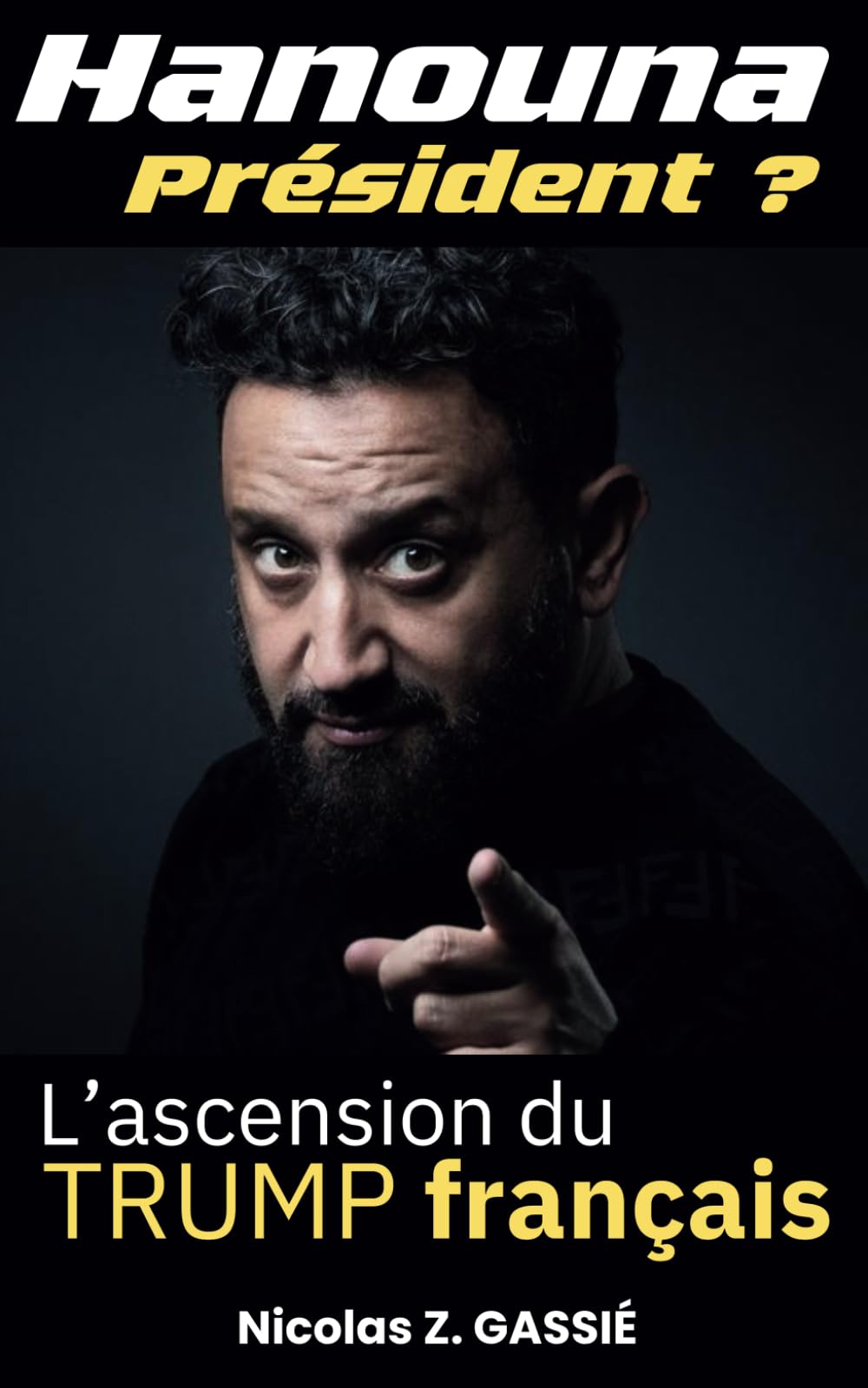 Hanouna président ? - L'ascension du Trump français: Parcours, controverses et scénarios possibles pour le trublion du PAF book