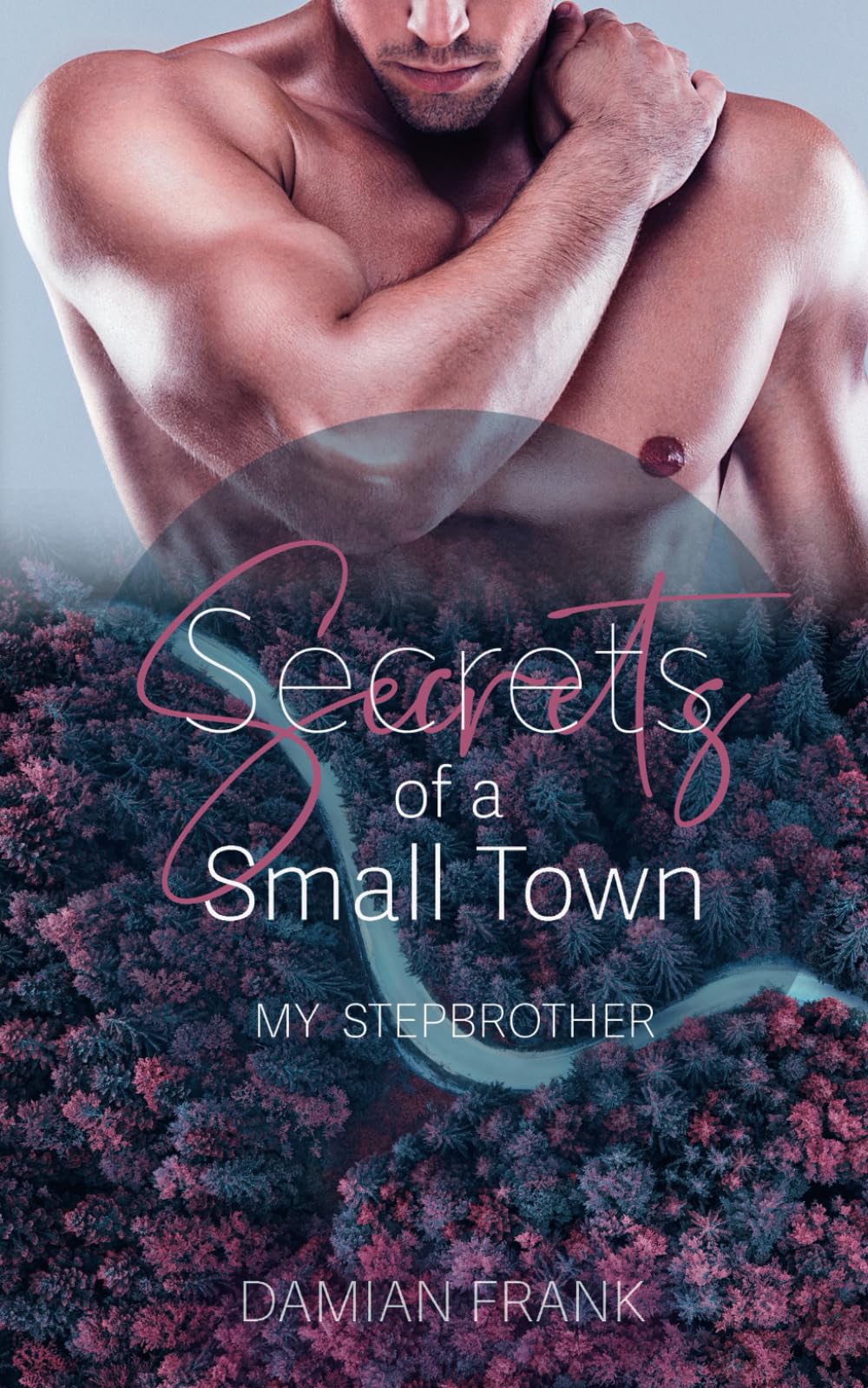 Secrets of a Small Town: My Stepbrother book