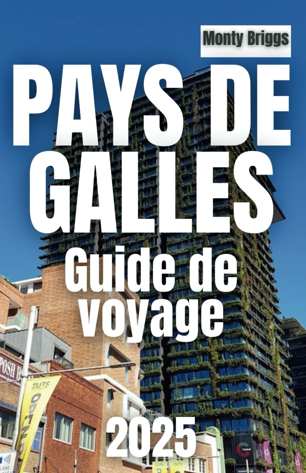 PAYS DE GALLES Guide de voyage 2025: Découvrez des paysages époustouflants, des châteaux historiques et des expériences galloises authentiques (French Edition) Travel Guides