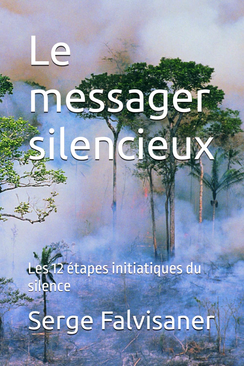 Le messager silencieux: Les 12 étapes initiatiques du silence book