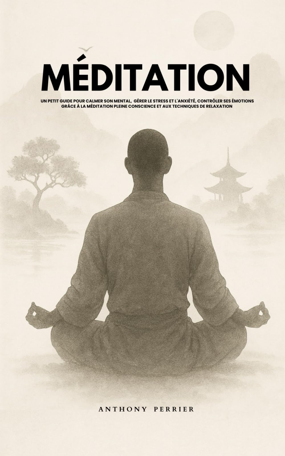 Méditation: Un petit guide pour calmer son mental, gérer le stress et l'anxiété, contrôler ses émotions grâce à la méditation pleine conscience et ... (Développement personnel et éveil spirituel) book