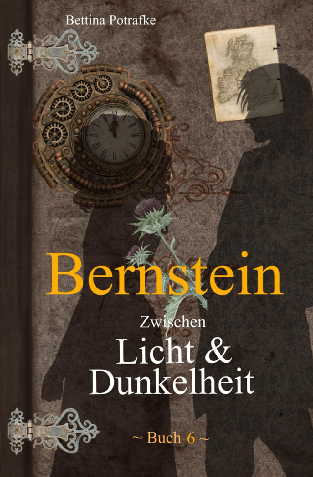 Bernstein 6: Zwischen Licht & Dunkelheit Historical Fiction