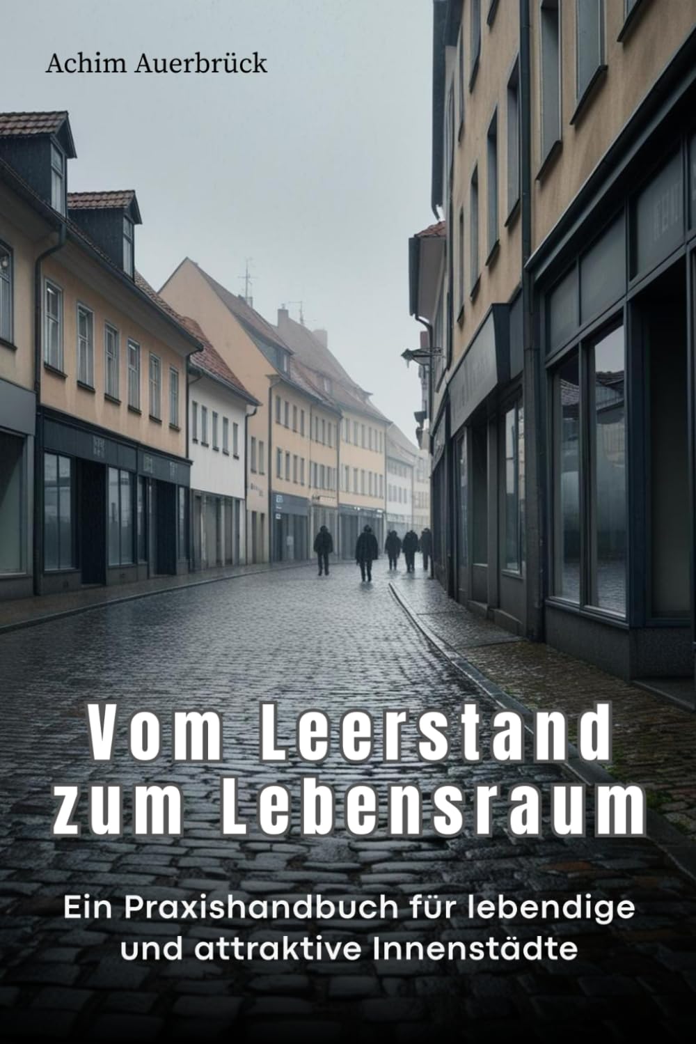 Vom Leerstand zum Lebensraum: Ein Praxishandbuch für lebendige und attraktive Innenstädte Business, Finance & Career