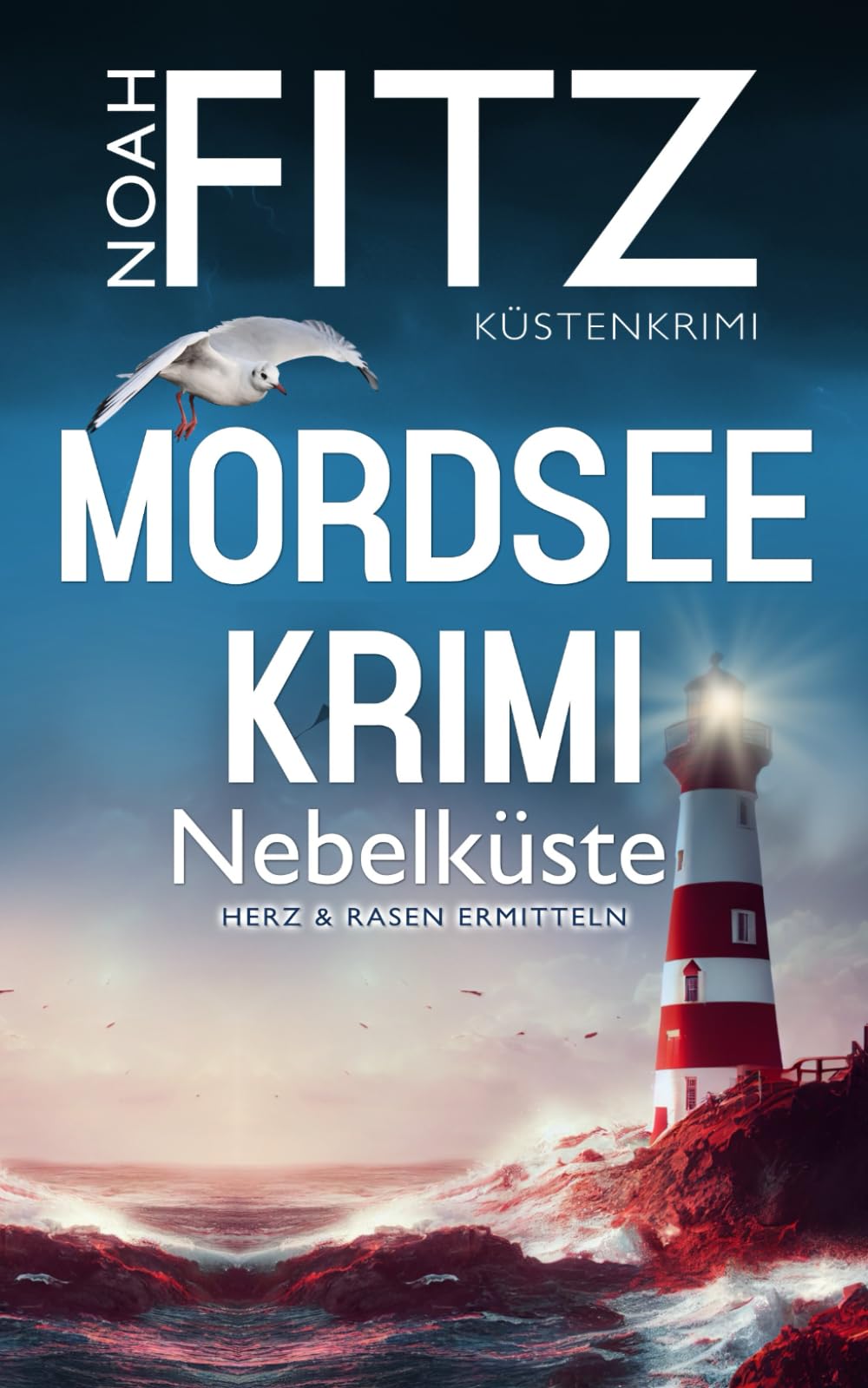 Mordseekrimi: Nebelküste (Herz&Rasen ermitteln, Band 3) Film, Art & Culture