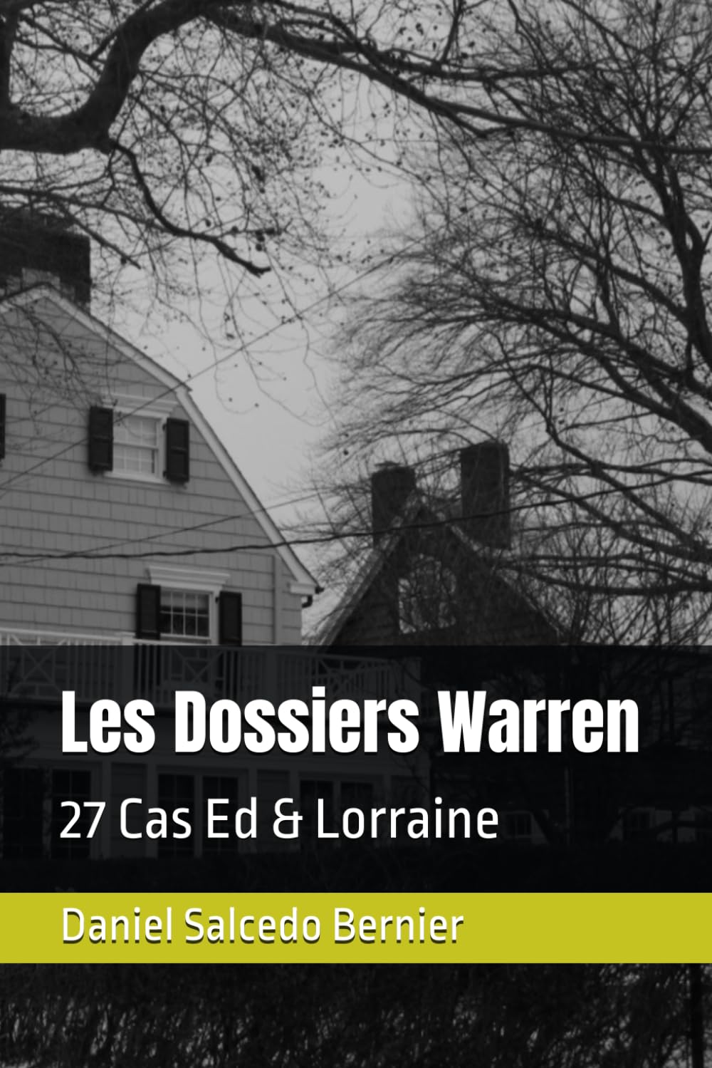 Les Dossiers Warren: 27 Cas Ed & Lorraine book