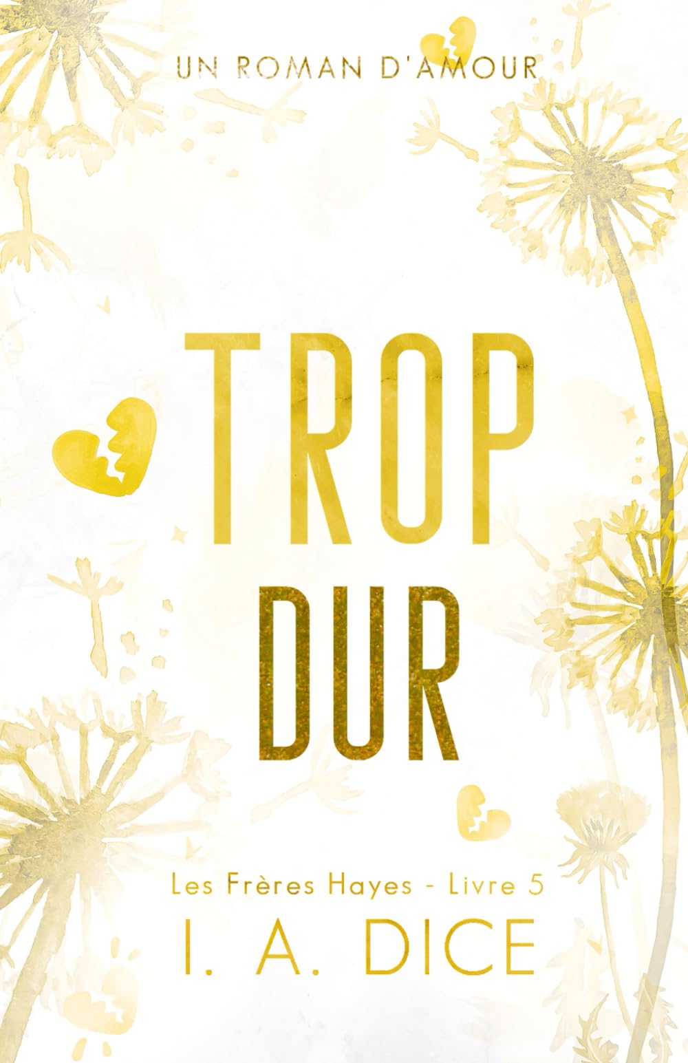 Trop dur: Les Frères Hayes - Livre 5 Romantic Thrillers
