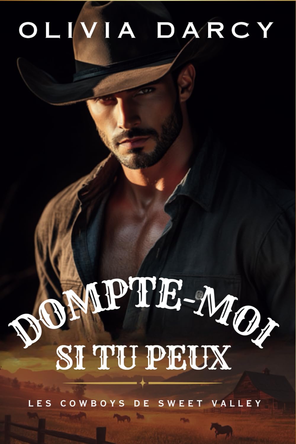 Dompte-moi si tu peux: De la haine à l'amour dans un ranch texan book
