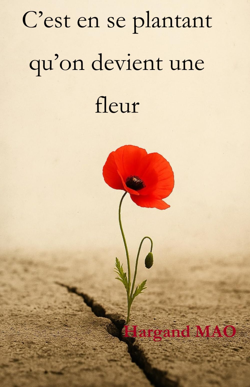 C'est en se plantant qu'on devient une fleur: Fragments d'un effondrement doux book