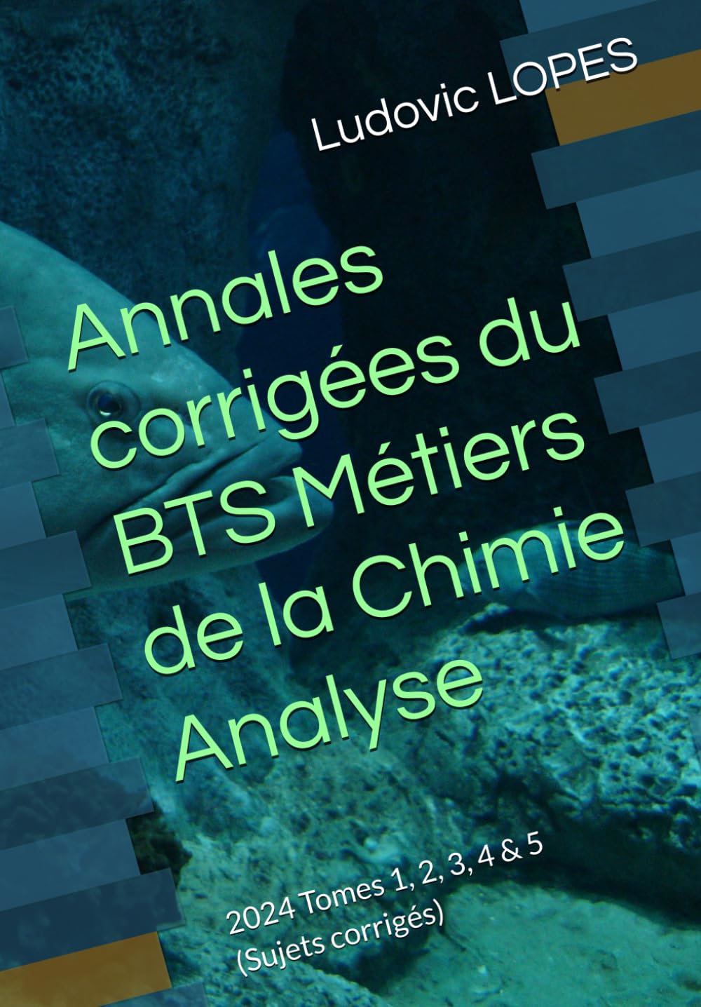 Annales corrigées du BTS Métiers de la Chimie : Analyse: 2024 Tomes 1, 2, 3, 4 & 5 (Sujets corrigés) book