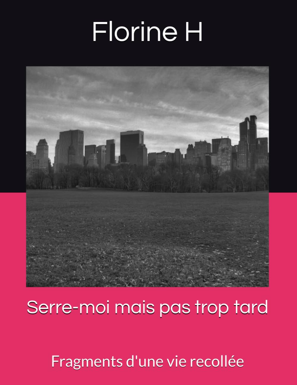 Serre-moi mais pas trop tard: Fragments d'une vie recollée book