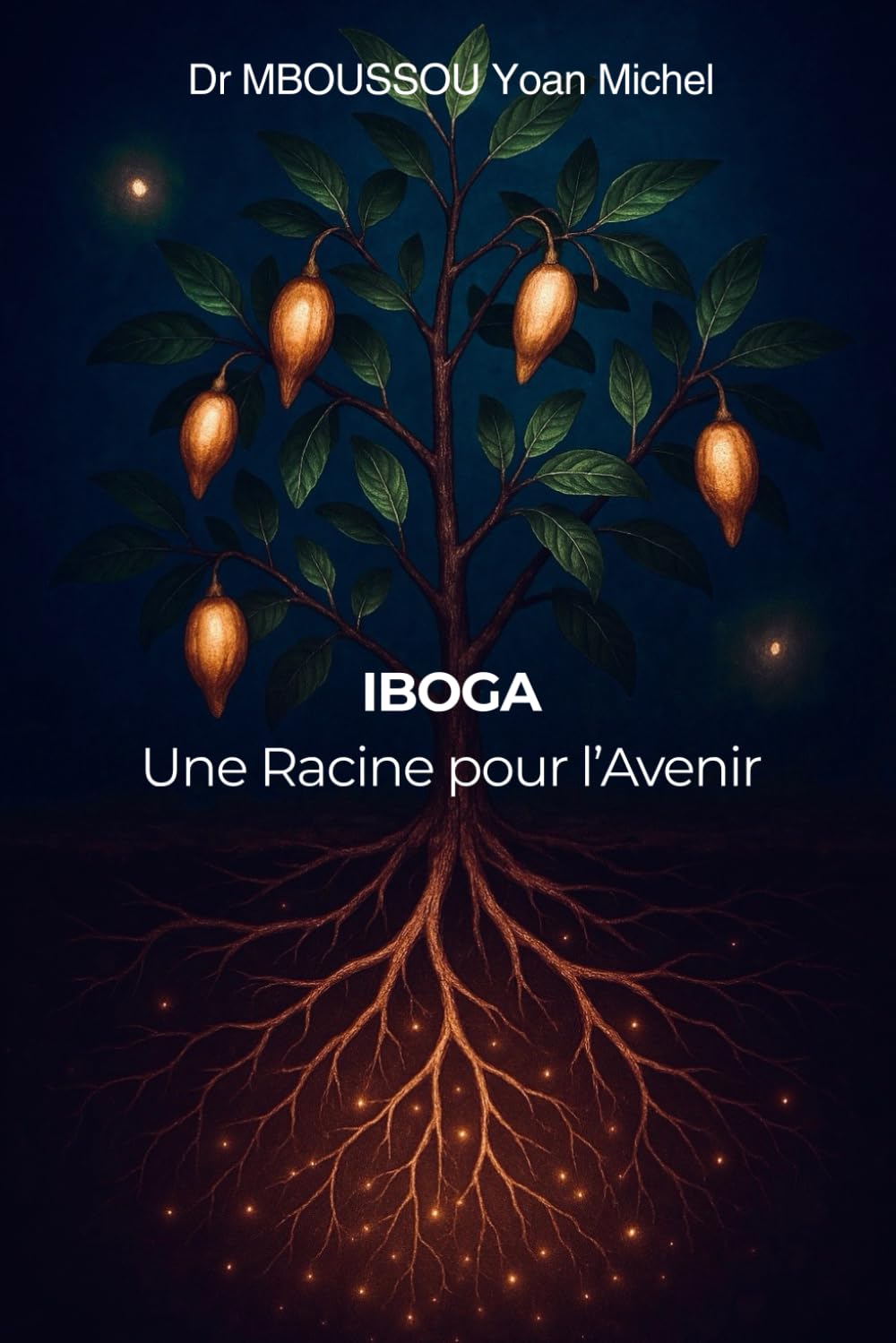 IBOGA Une Racine pour l'Avenir book