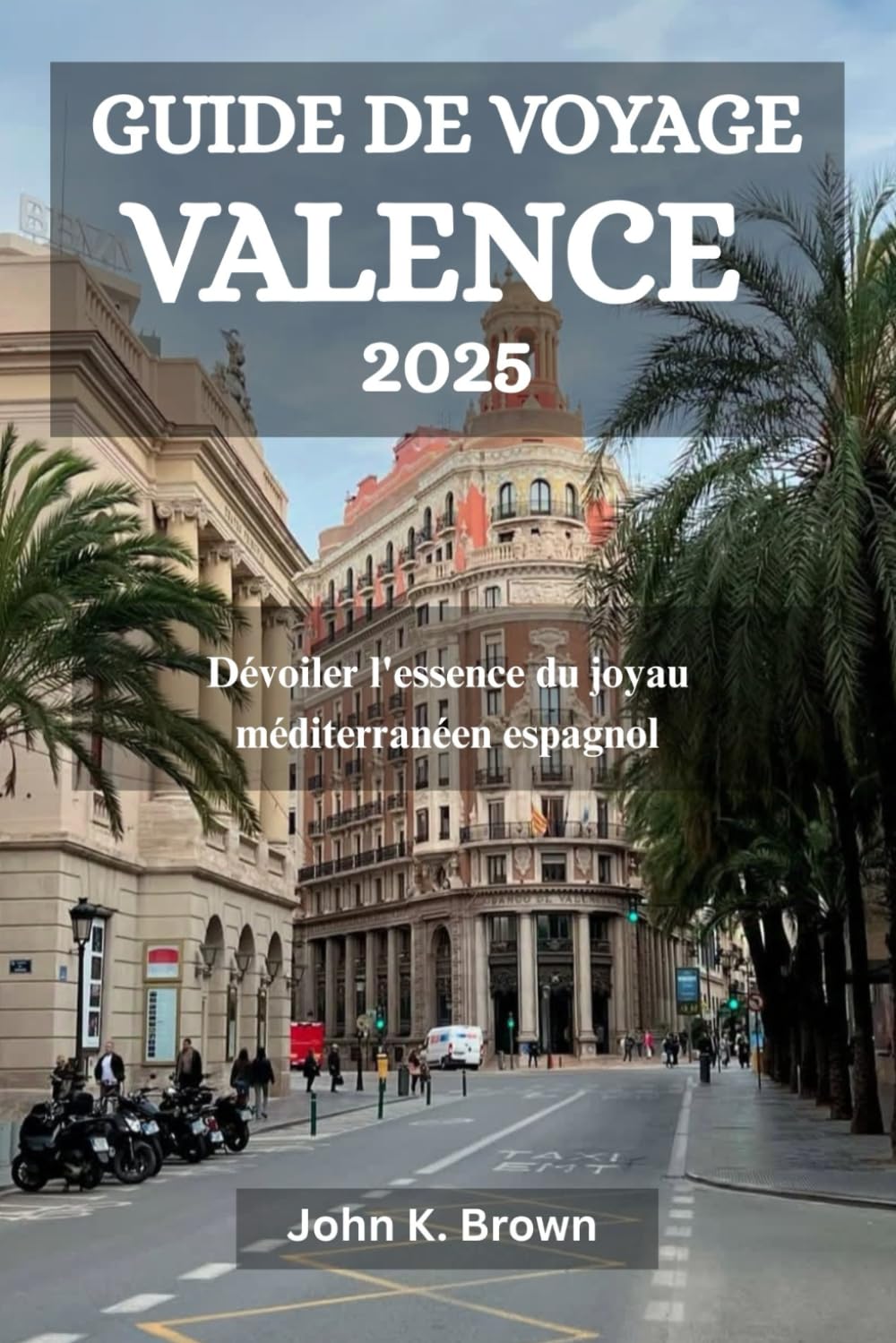 GUIDE DE VOYAGE VALENCE 2025: Dévoiler l'essence du joyau méditerranéen espagnol book