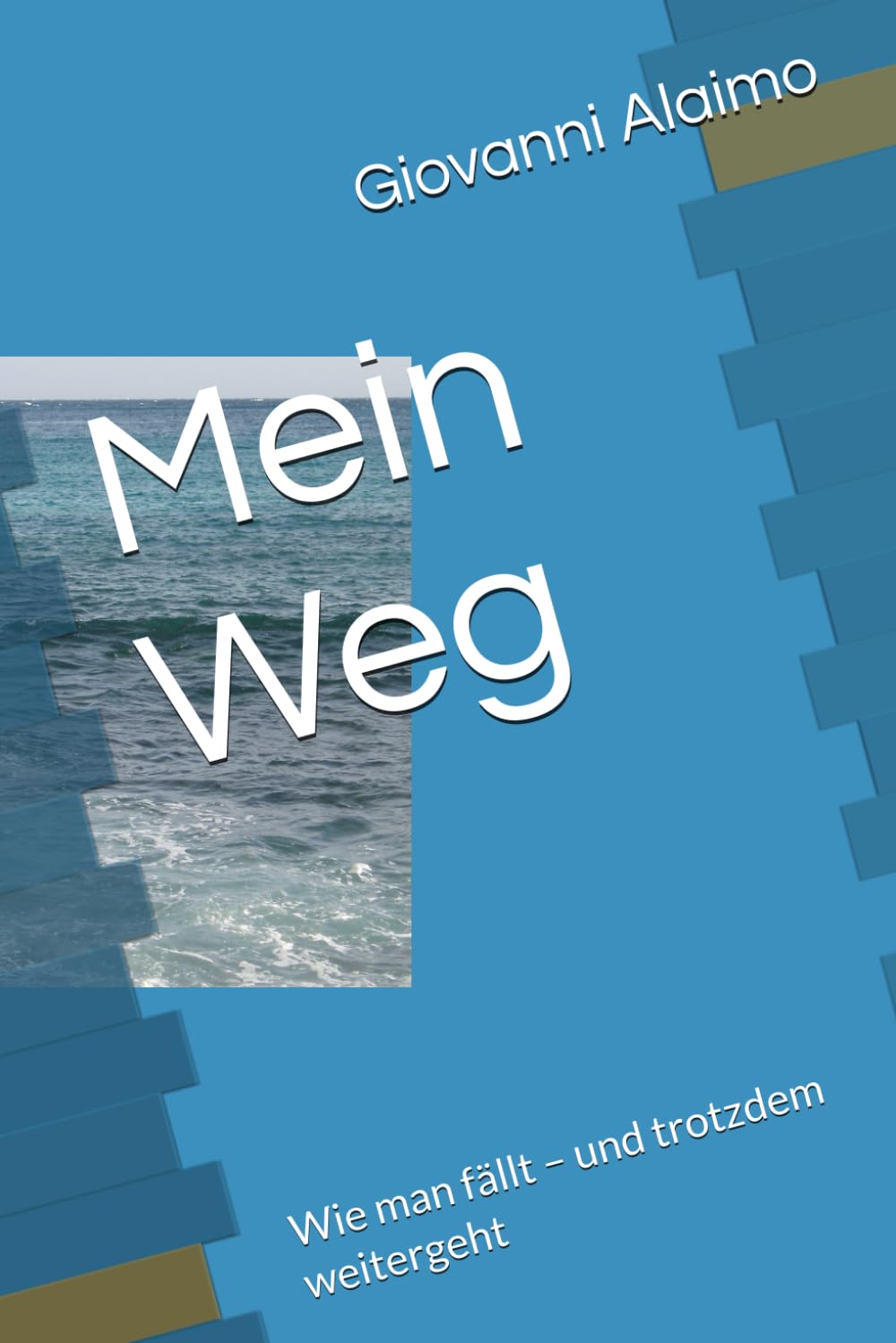 Mein Weg: Wie man fällt – und trotzdem weitergeht Art & Literature