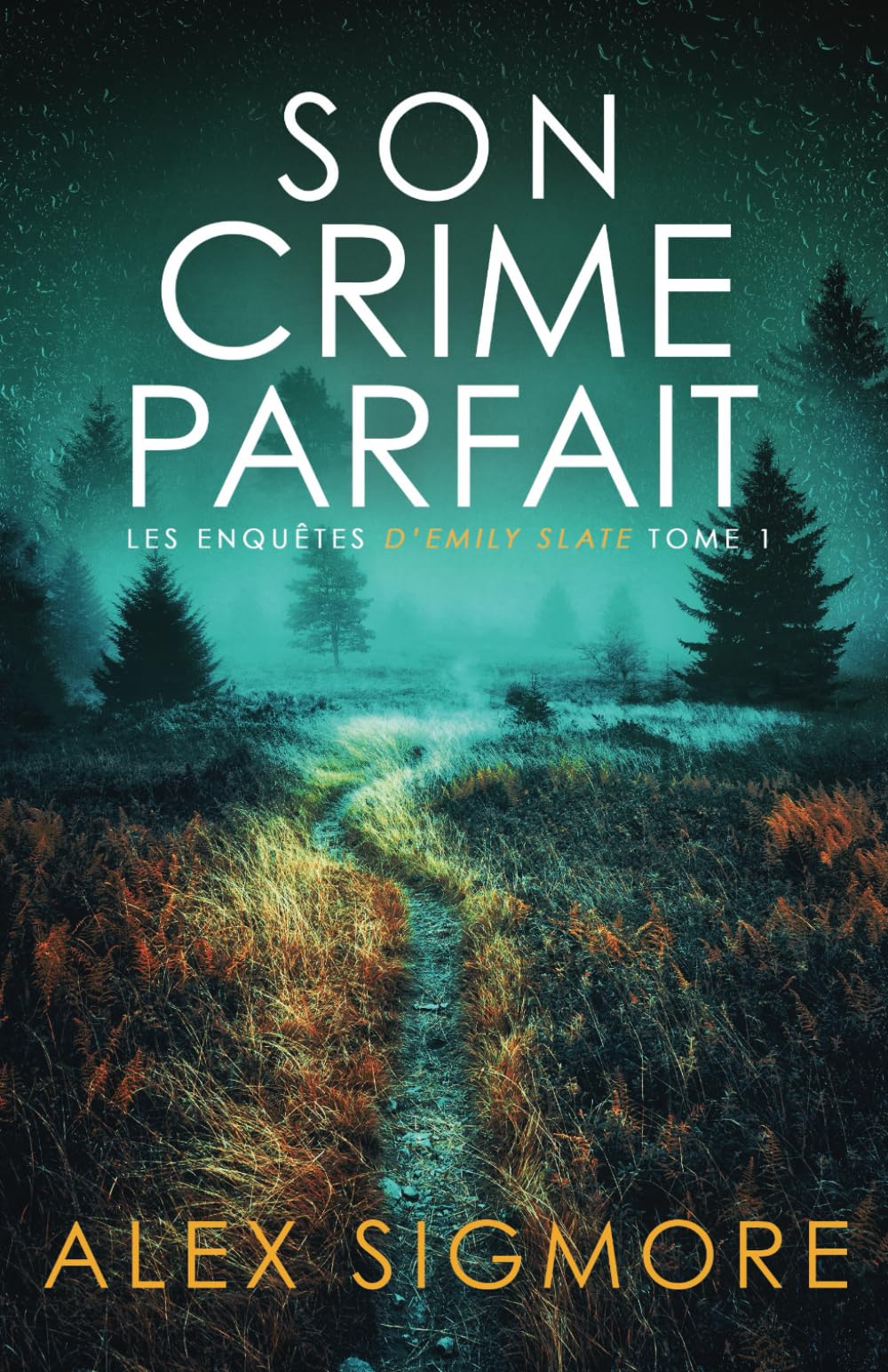 Product Image: Son Crime Parfait