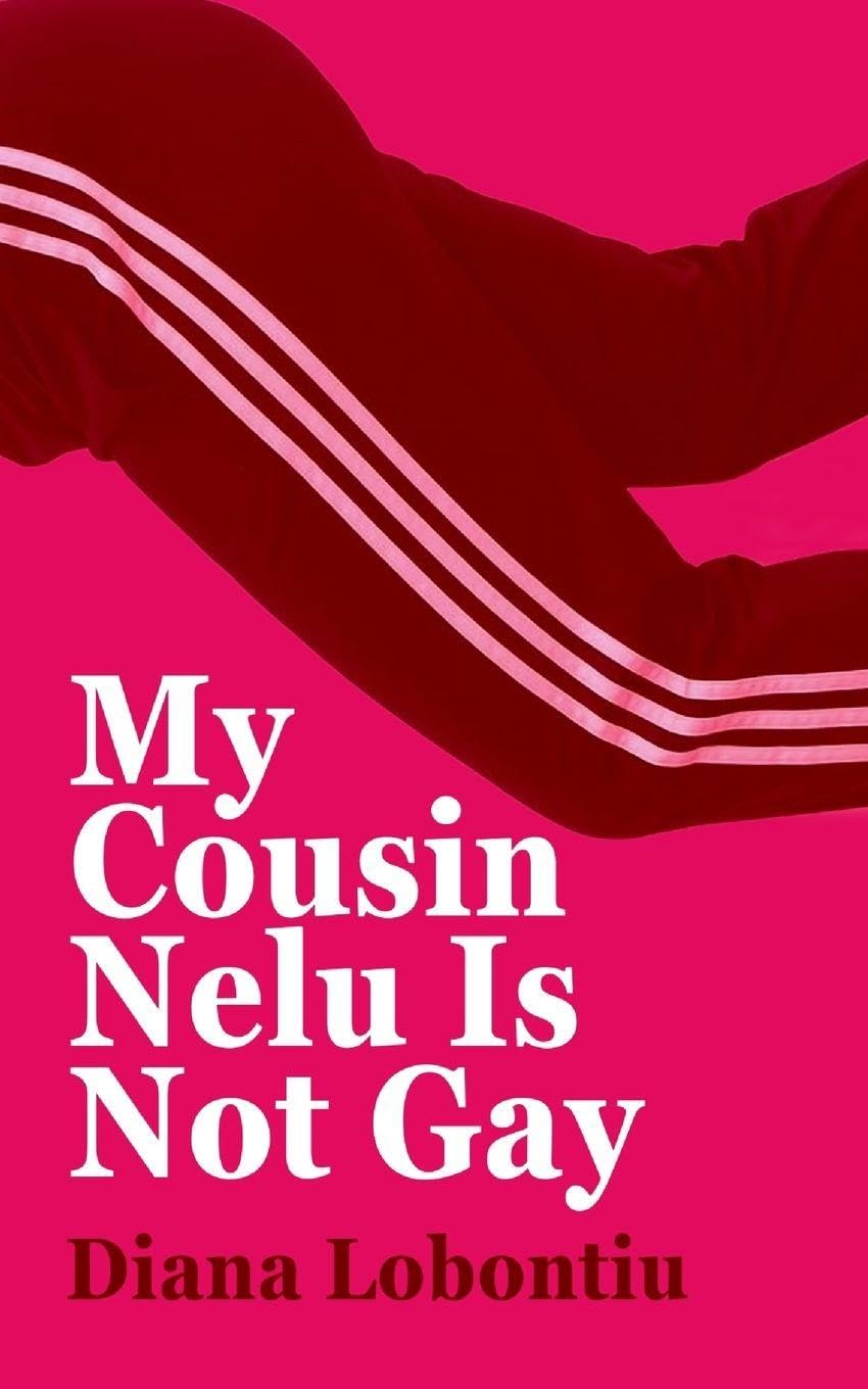 My Cousin Nelu is Not Gay Contemporary literature
