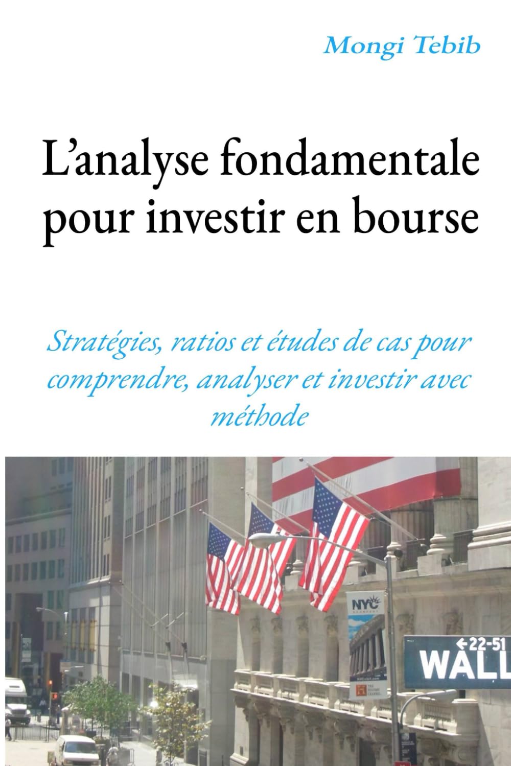 L’analyse fondamentale pour investir en bourse: Stratégies, ratios et études de cas pour comprendre, analyser et investir avec méthode book