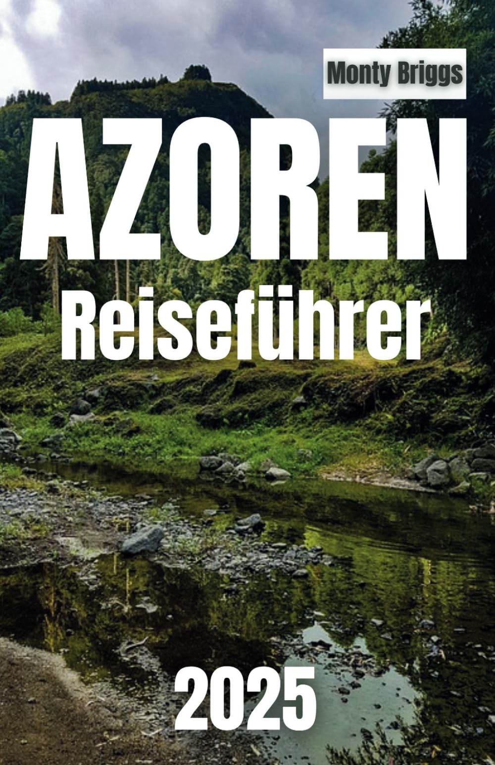 AZOREN Reiseführer 2025: Erkunden Sie die neun Inseln mit versteckten Juwelen, lokalen Geheimnissen und dem authentischsten Essen im letzten Paradies des Atlantiks (German Edition) Travel Guides