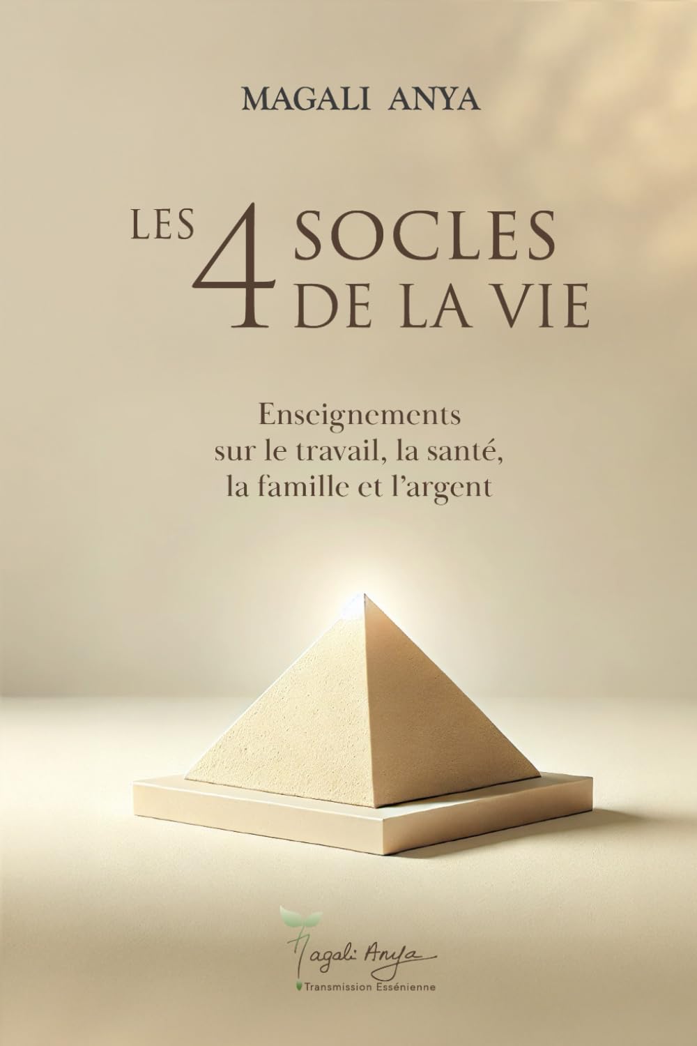 Les 4 socles de la vie: Enseignements sur le travail, la santé, la famille et l’argent book