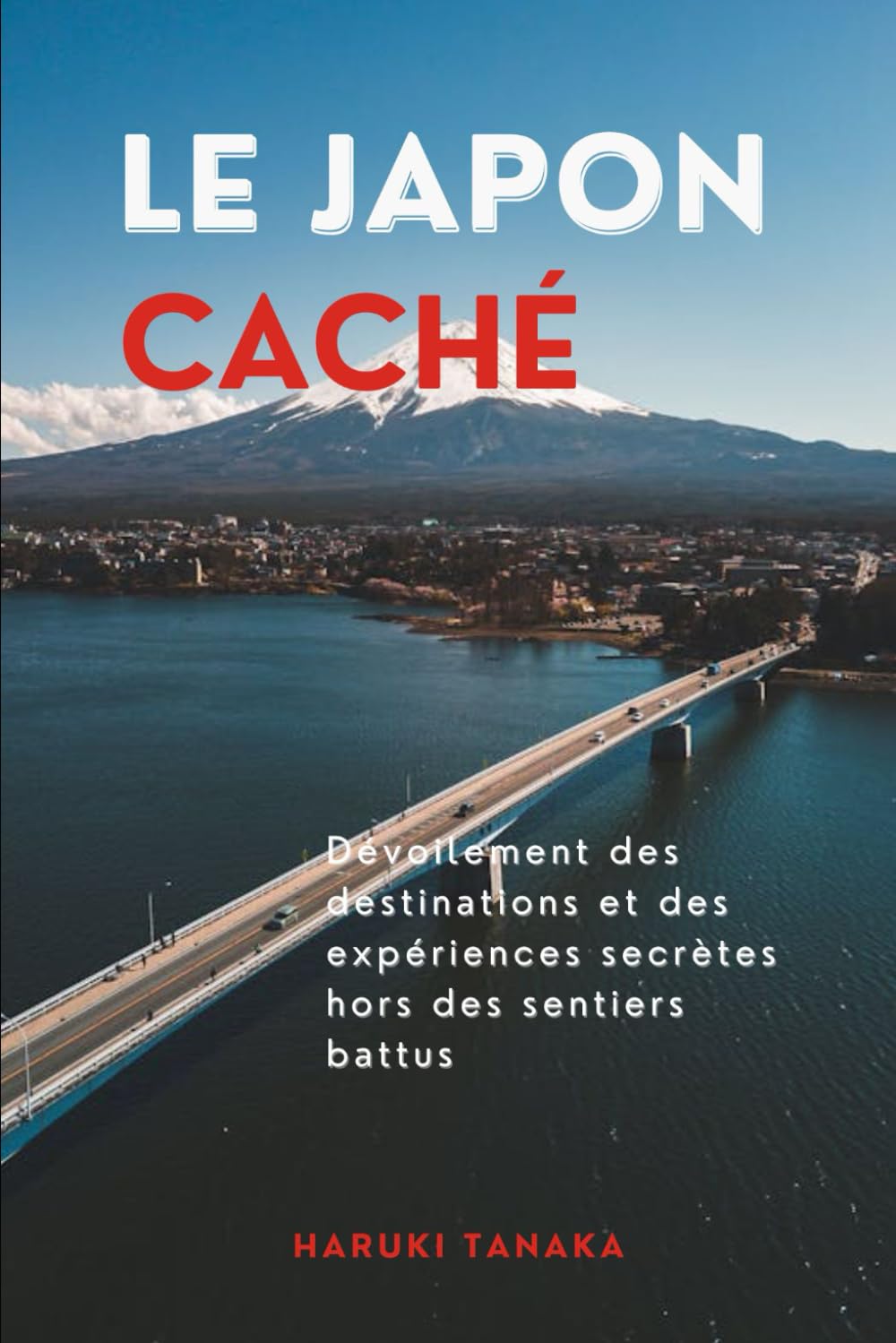 LE JAPON CACHÉ: Dévoilement des destinations et des expériences secrètes hors des sentiers battus book