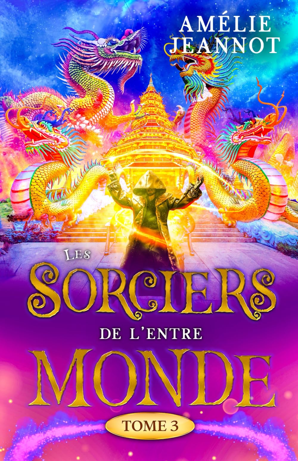 Les Sorciers de l'Entre-Monde: Tome 3 book