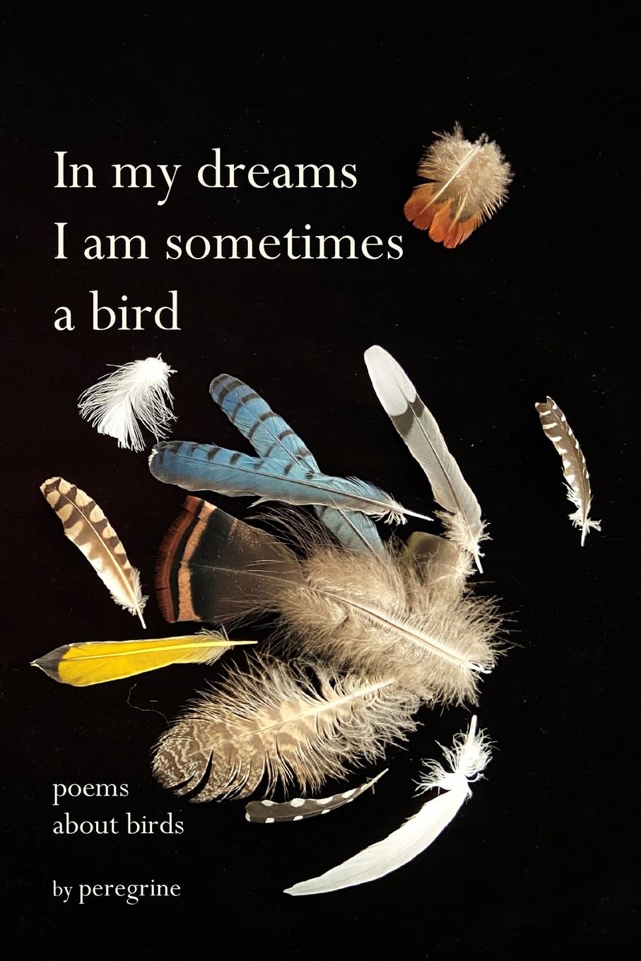 in my dreams I am sometimes a bird Poetry