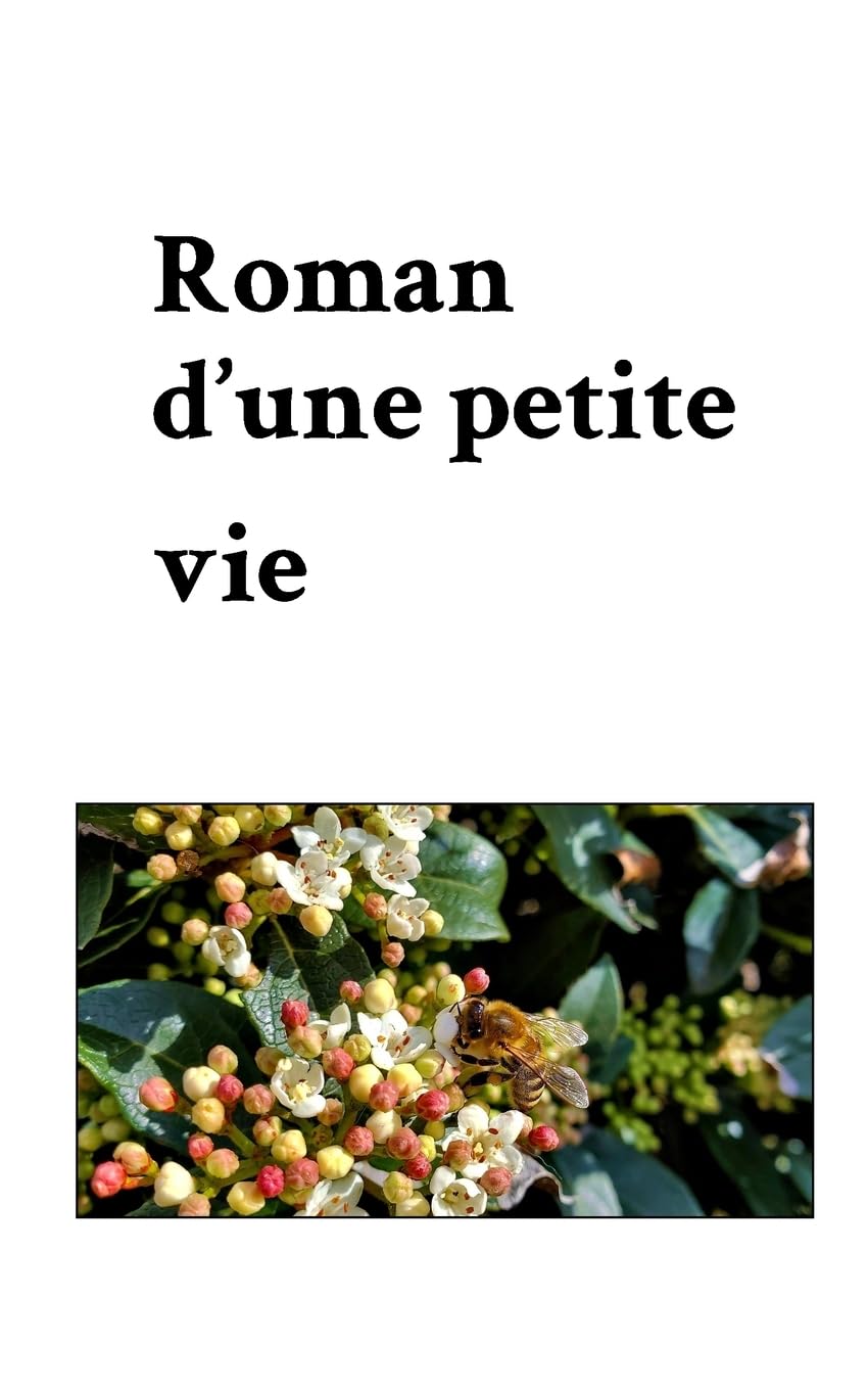 Roman d'une petite vie Religion & Esotericism