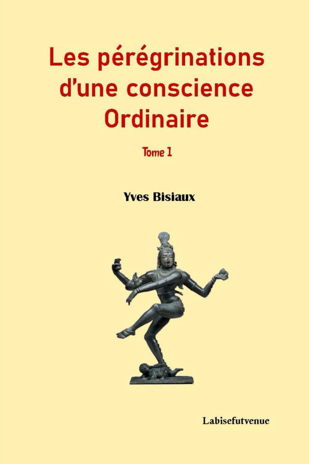 Les pérégrinations d'une conscience ordinaire (tome 1): génèse d'un individu book