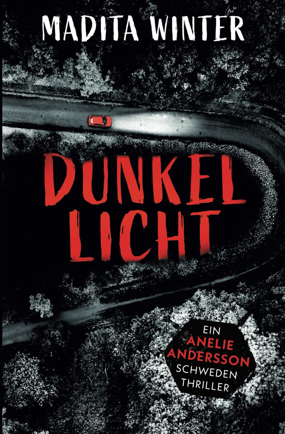 Dunkellicht: Kriminalroman (Anelie Andersson ermittelt 4) Detective & CSI