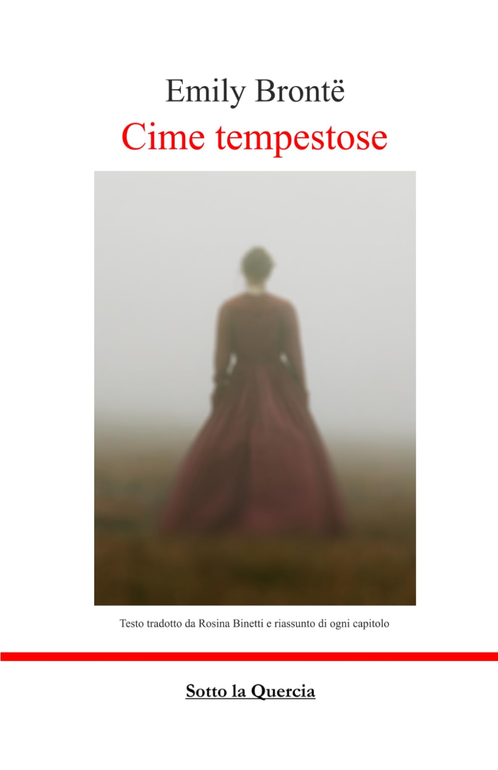Cime tempestose: Traduzione di Rosina Binetti e riassunto di ogni capitolo book